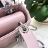 Dior Bag 029